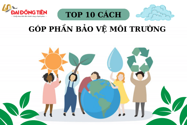 10 Cách Bảo Vệ Môi Trường Hiệu Quả và Đơn Giản Nhất Mọi Người Nên Biết